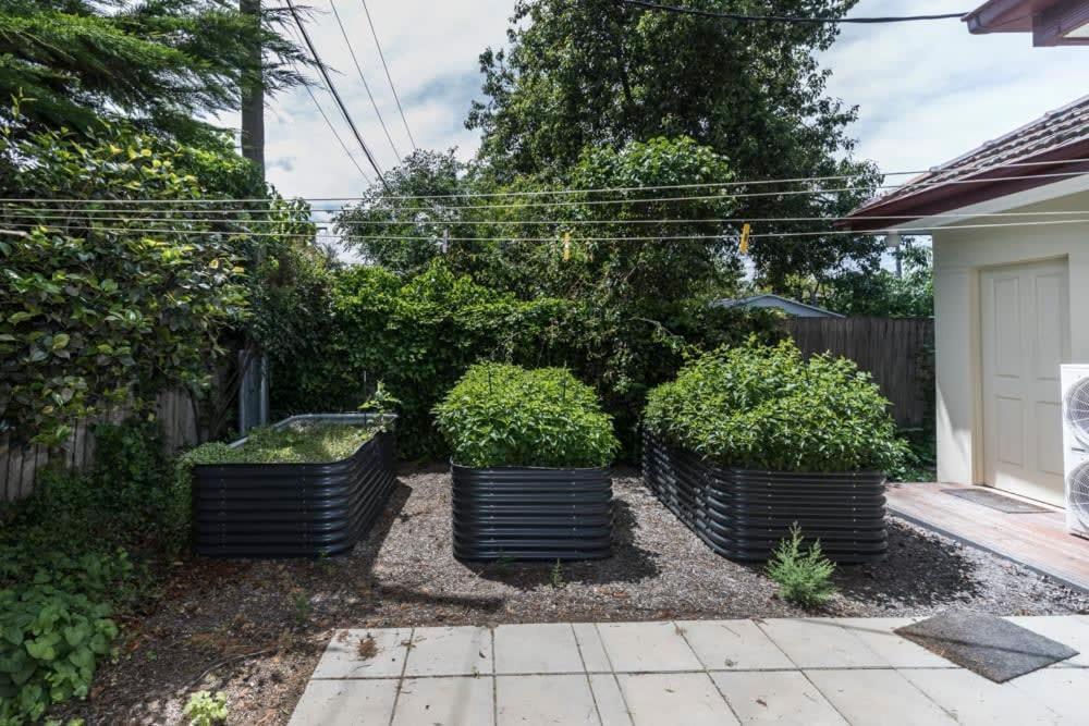 3 Bdrm 2 Bthrm House Close To Canberra Cbd & Anu Экстерьер фото